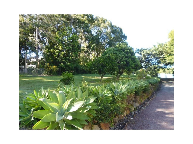 67 Belleden Place, Cooroy QLD 4563