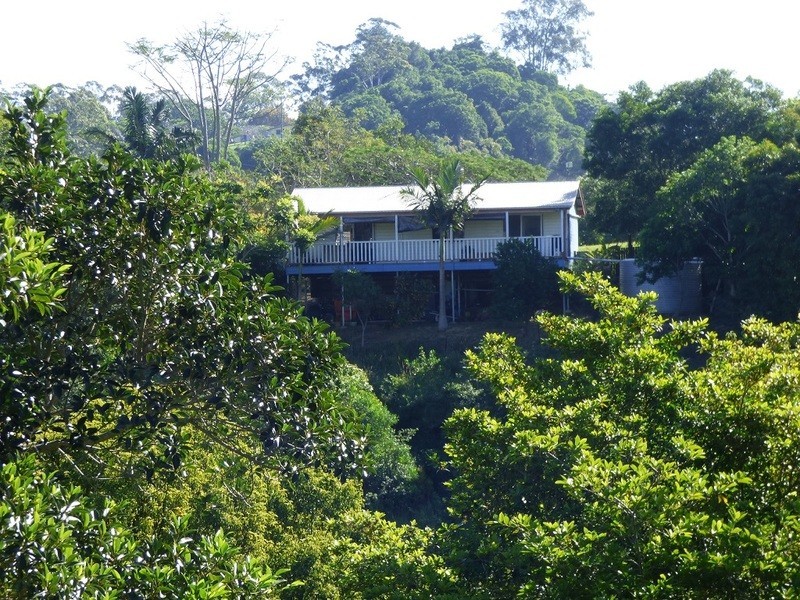 600 Cooroy Belli Creek Road, Black Mountain QLD 4563