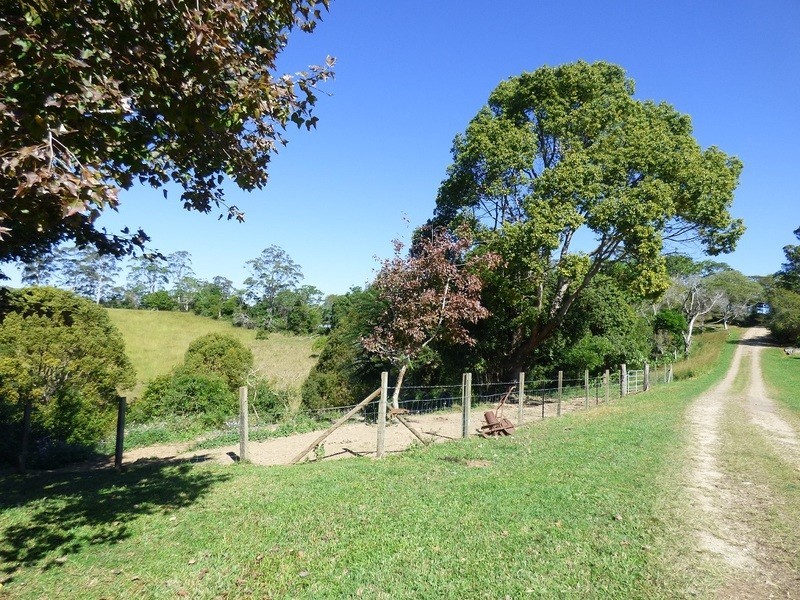 600 Cooroy Belli Creek Road, Black Mountain QLD 4563