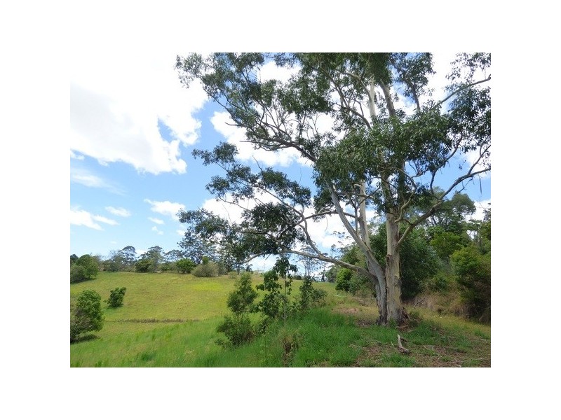 600 Cooroy Belli Creek Road, Black Mountain QLD 4563