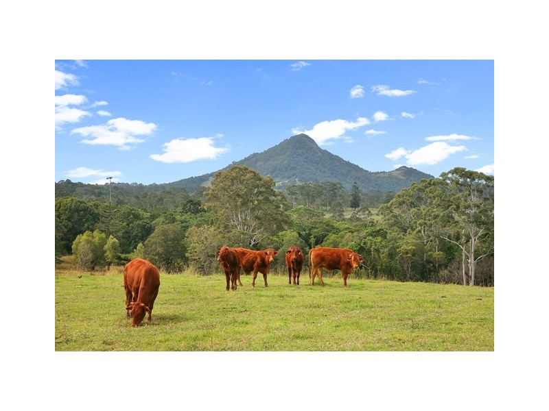 Lot 50 (141) Cooroy Belli Creek Rd, Cooroy QLD 4563