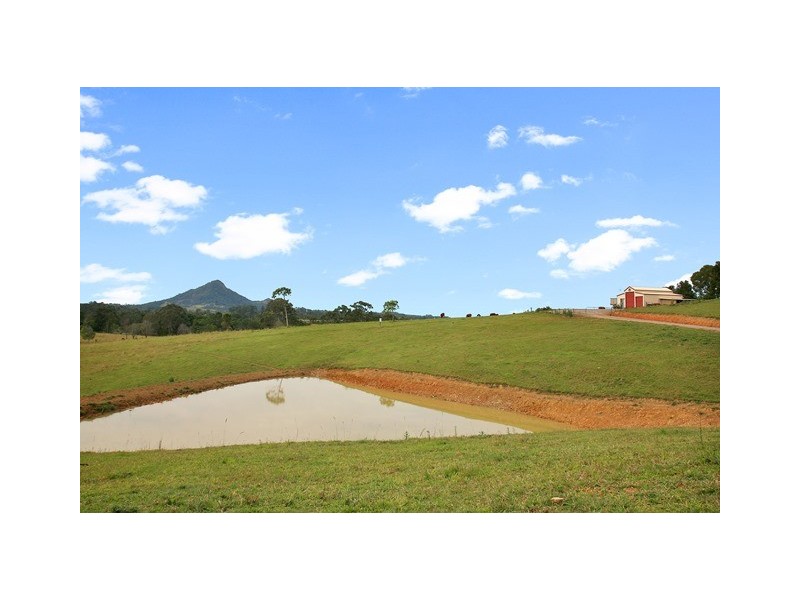 Lot 50 (141) Cooroy Belli Creek Rd, Cooroy QLD 4563