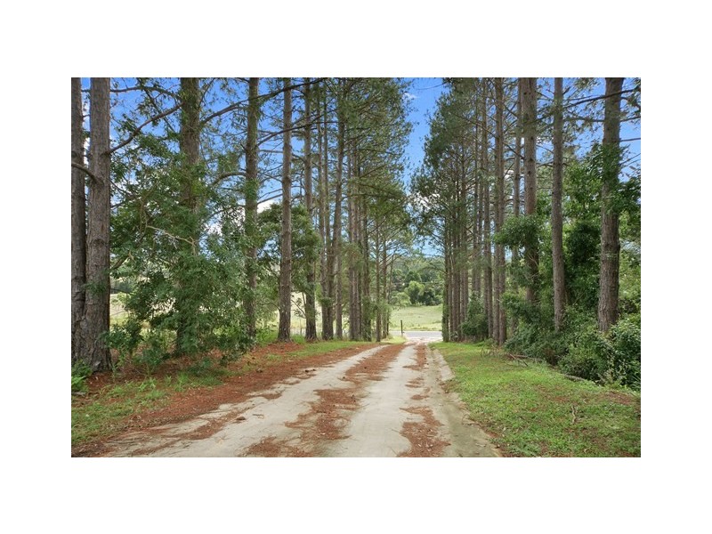 Lot 50 (141) Cooroy Belli Creek Rd, Cooroy QLD 4563