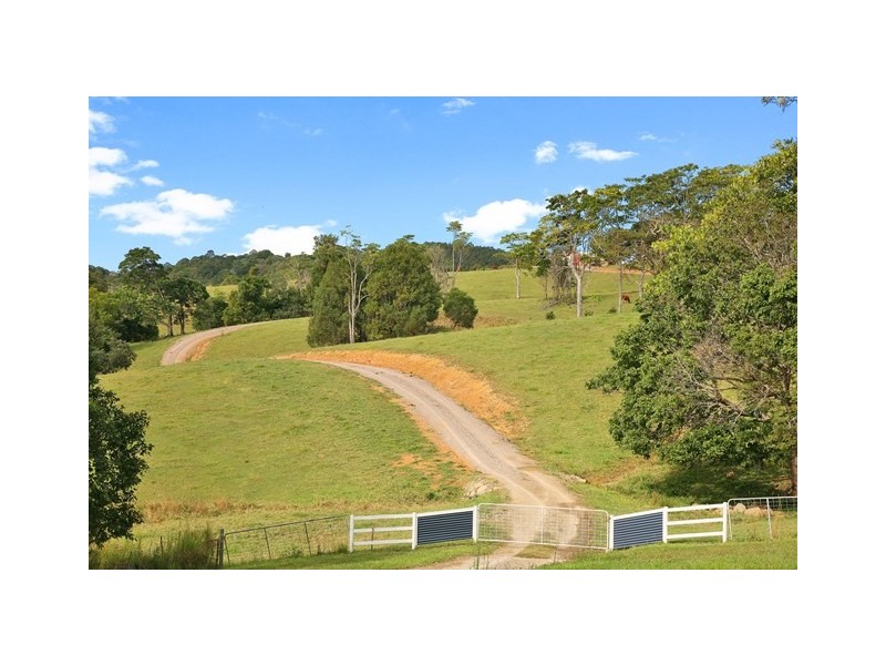 Lot 50 (141) Cooroy Belli Creek Rd, Cooroy QLD 4563