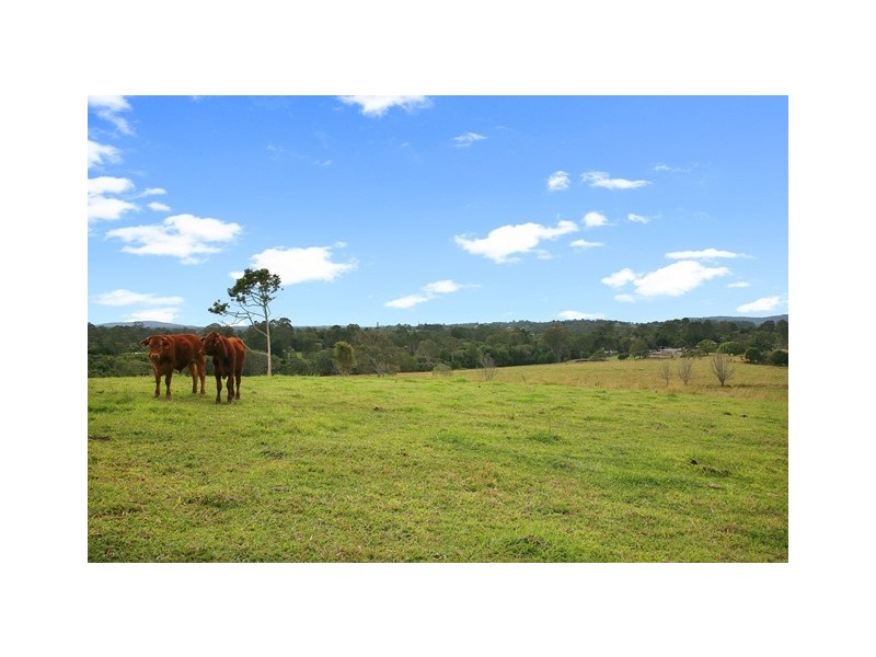 Lot 50 (141) Cooroy Belli Creek Rd, Cooroy QLD 4563