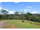 Lot 50 (141) Cooroy Belli Creek Rd, Cooroy QLD 4563