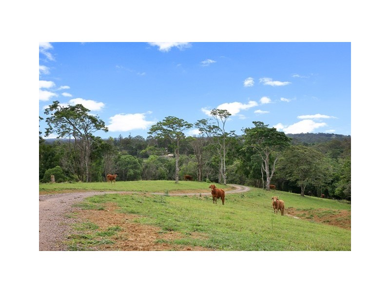 Lot 50 (141) Cooroy Belli Creek Rd, Cooroy QLD 4563