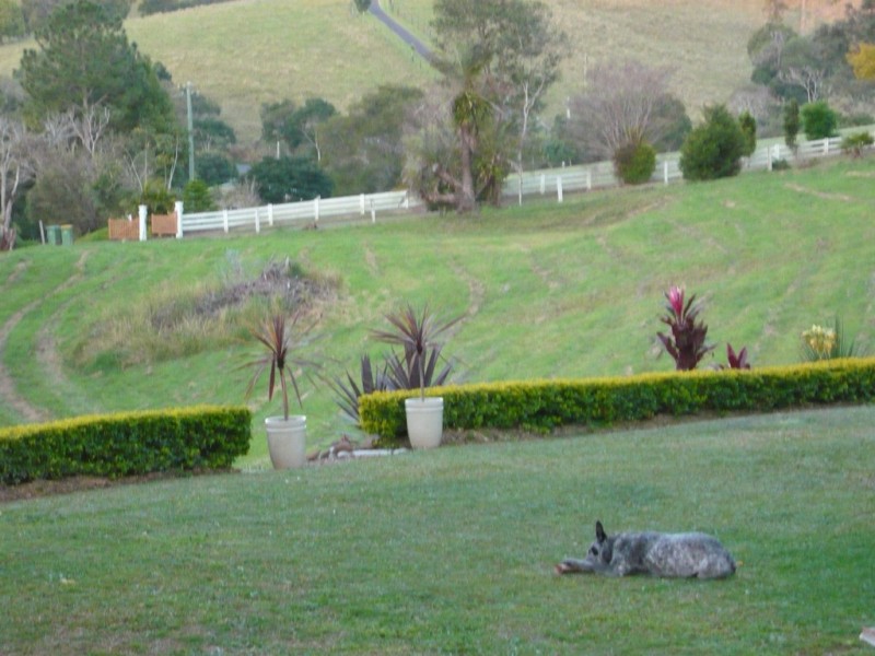 329a Cooroy Belli Creek Road, Cooroy QLD 4563