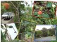 25 Darnley Street, Tewantin QLD 4565