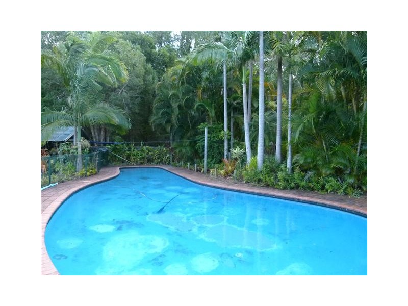 59-61 Griffith Ave, Tewantin QLD 4565