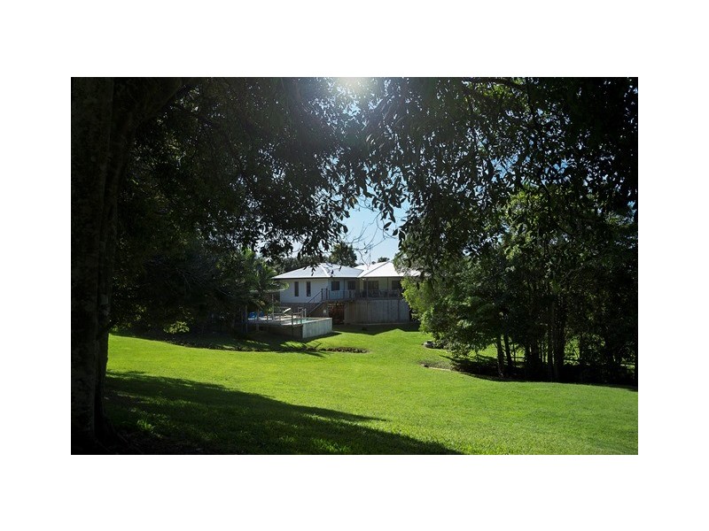 17 Rosewood Lane, Black Mountain QLD 4563