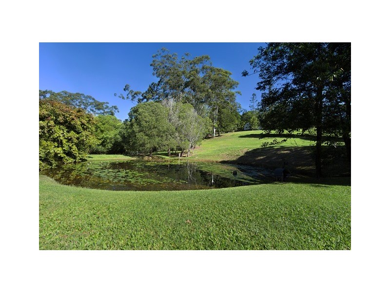 17 Rosewood Lane, Black Mountain QLD 4563