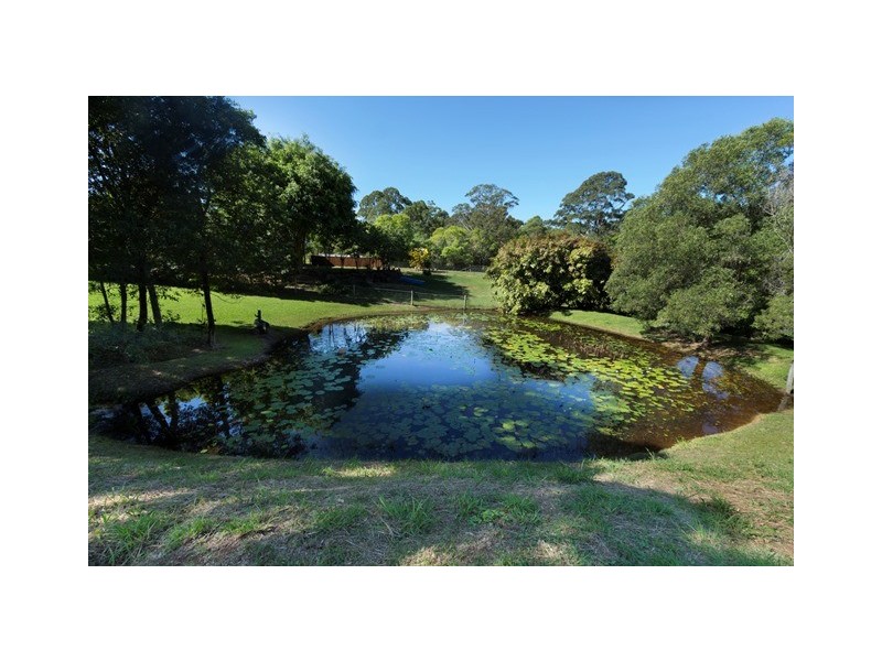 17 Rosewood Lane, Black Mountain QLD 4563