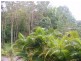12 William Road, Eumundi QLD 4562
