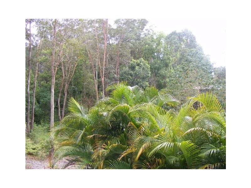 12 William Road, Eumundi QLD 4562