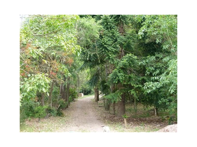 31 Tablelands Road, Cooran QLD 4569