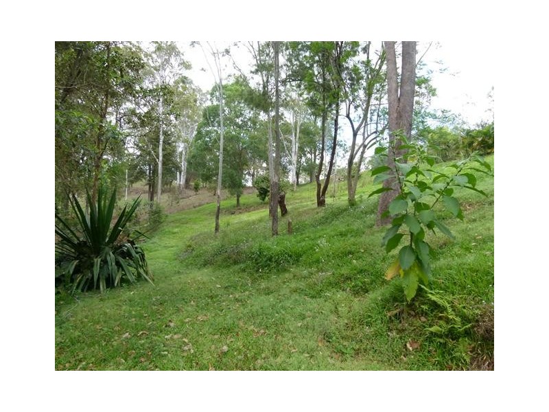 42 Hovea Road, Cooroy QLD 4563