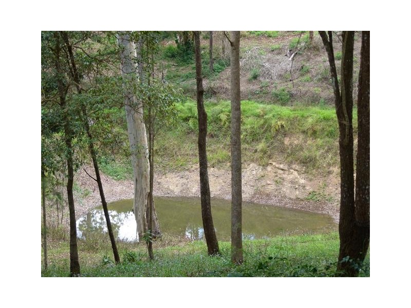 42 Hovea Road, Cooroy QLD 4563