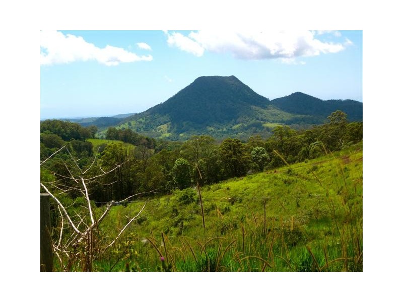 79 Jorgensen Road, Ridgewood QLD 4563