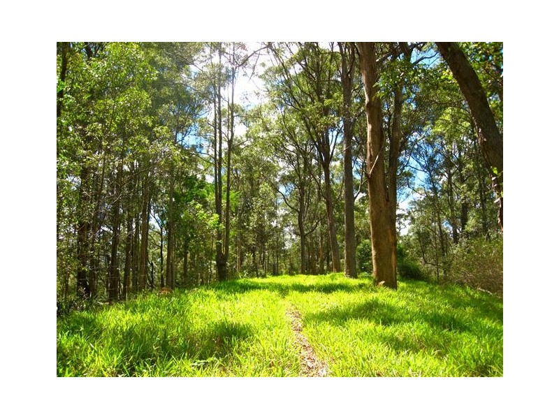 79 Jorgensen Road, Ridgewood QLD 4563