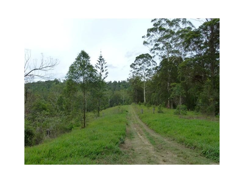 79 Jorgensen Road, Ridgewood QLD 4563