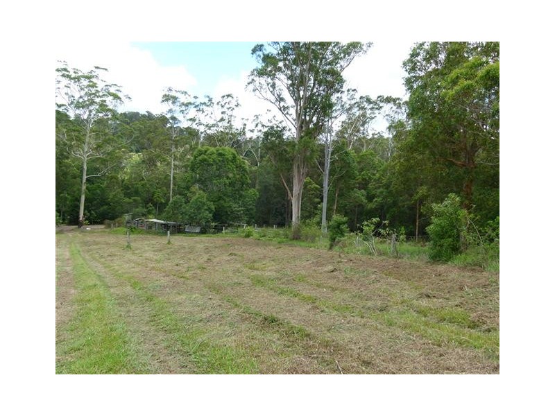 79 Jorgensen Road, Ridgewood QLD 4563