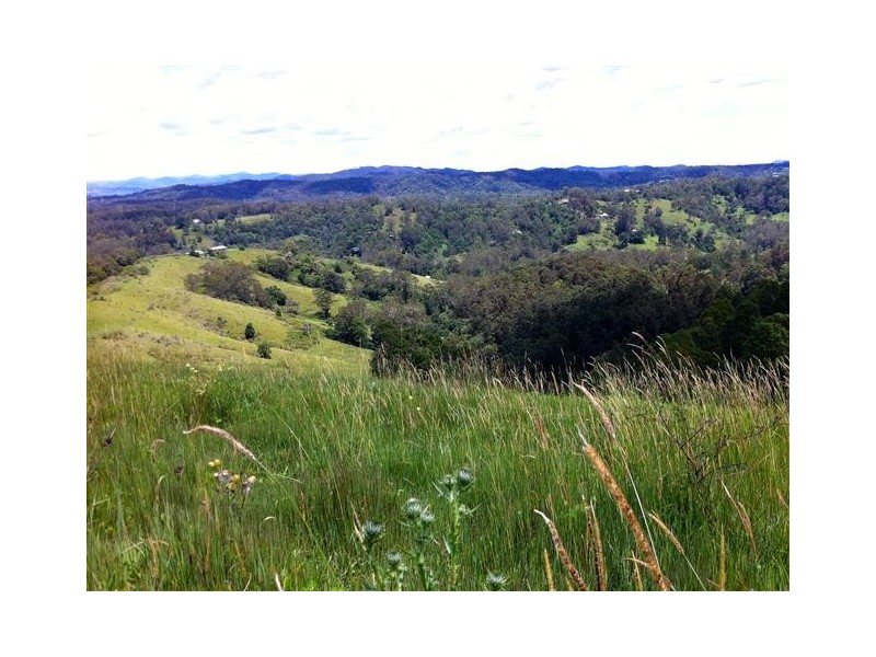 79 Jorgensen Road, Ridgewood QLD 4563