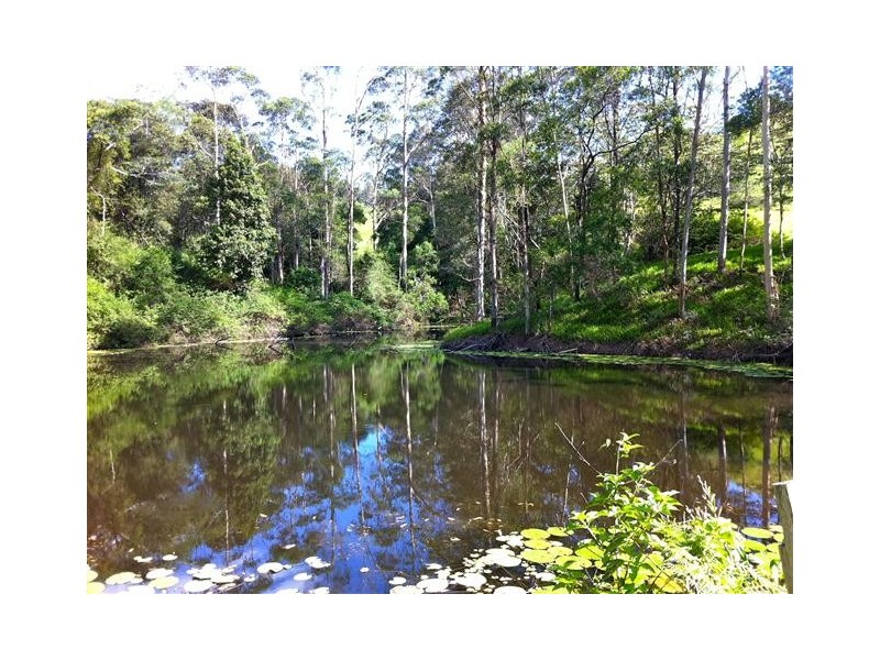 79 Jorgensen Road, Ridgewood QLD 4563