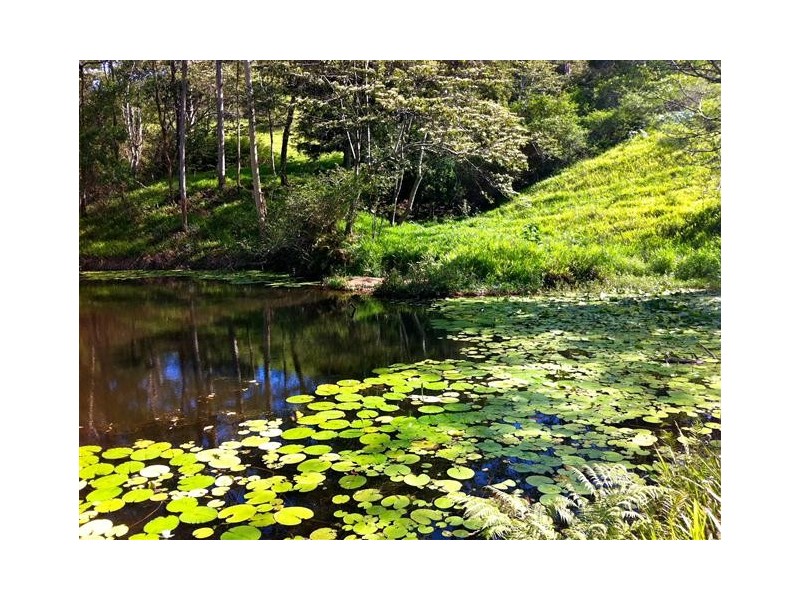 79 Jorgensen Road, Ridgewood QLD 4563