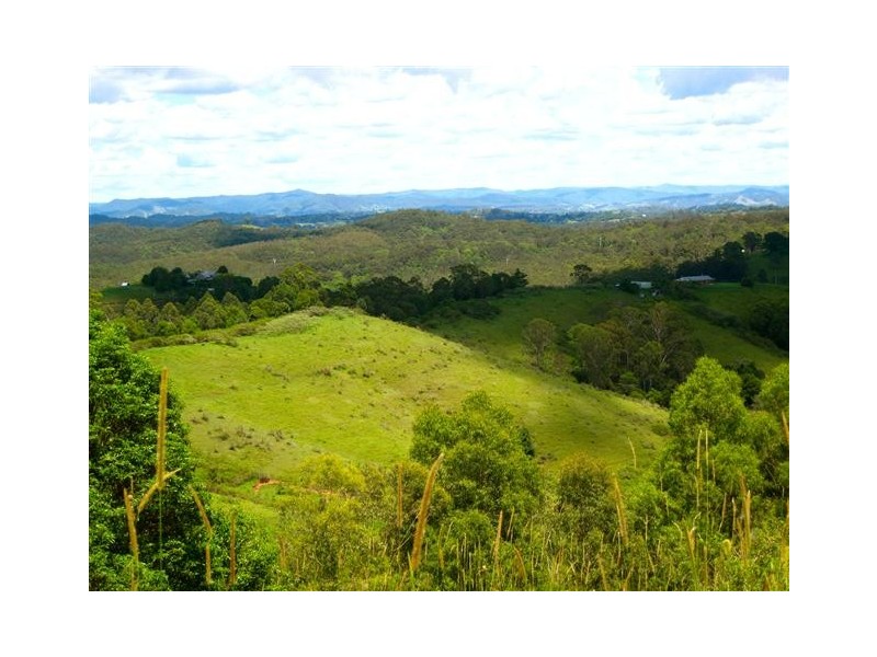 79 Jorgensen Road, Ridgewood QLD 4563