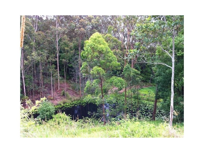 42 Northmount Road, Federal QLD 4568