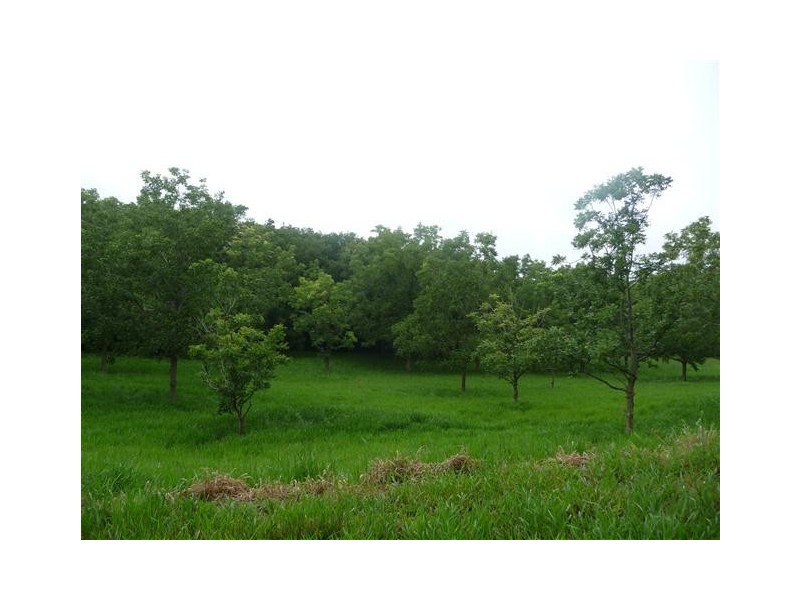 Lot 391 Dr Pages Road, Kin Kin QLD 4571