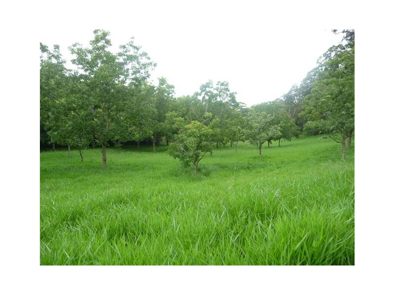 Lot 391 Dr Pages Road, Kin Kin QLD 4571