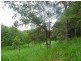 Lot 391 Dr Pages Road, Kin Kin QLD 4571
