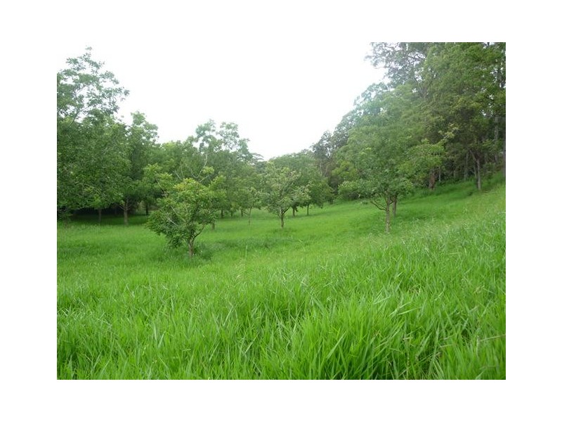 Lot 391 Dr Pages Road, Kin Kin QLD 4571