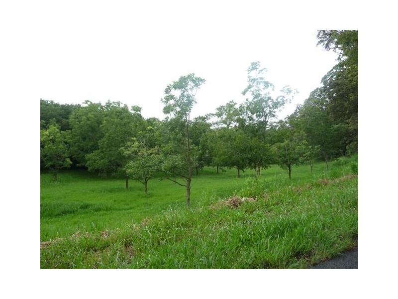 Lot 391 Dr Pages Road, Kin Kin QLD 4571