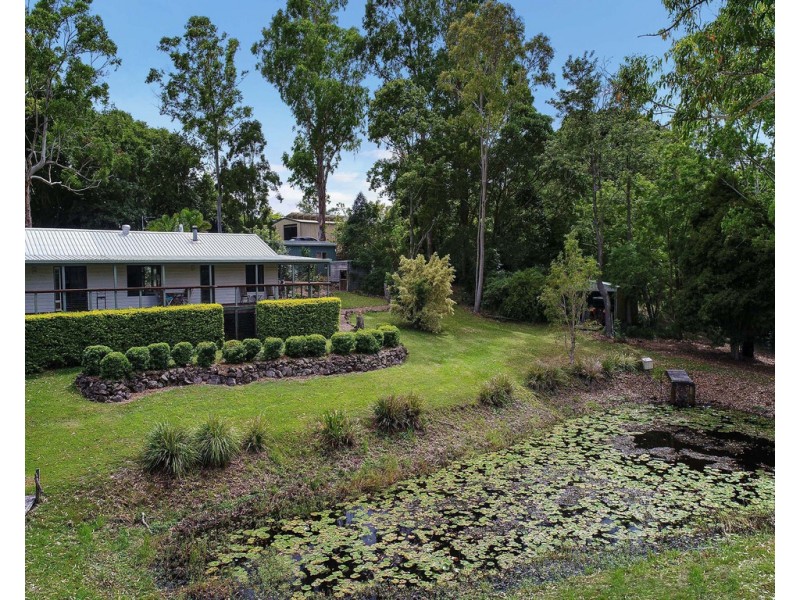 569 Black Mountain Road, Black Mountain QLD 4563