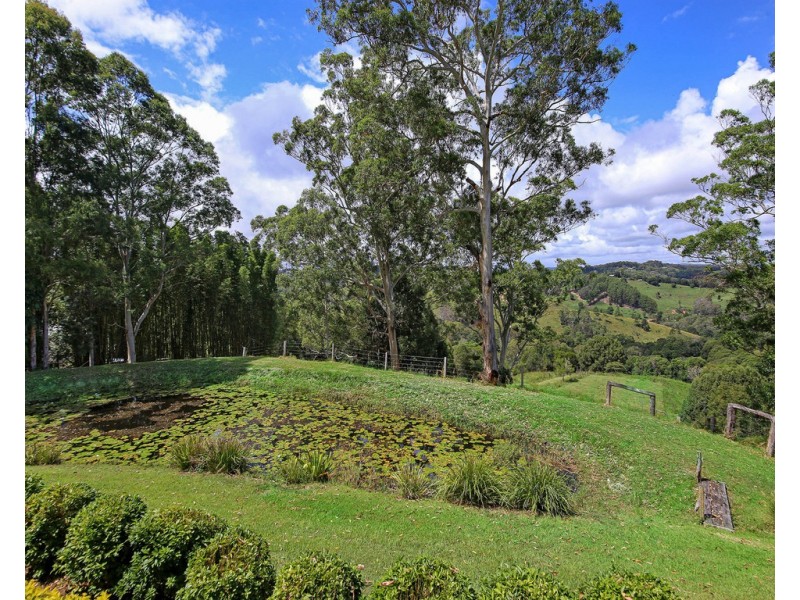 569 Black Mountain Road, Black Mountain QLD 4563