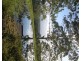 569 Black Mountain Road, Black Mountain QLD 4563