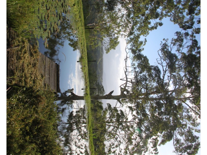 569 Black Mountain Road, Black Mountain QLD 4563