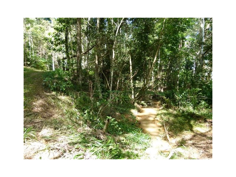 60  Stanfield Lane, Cooroy QLD 4563