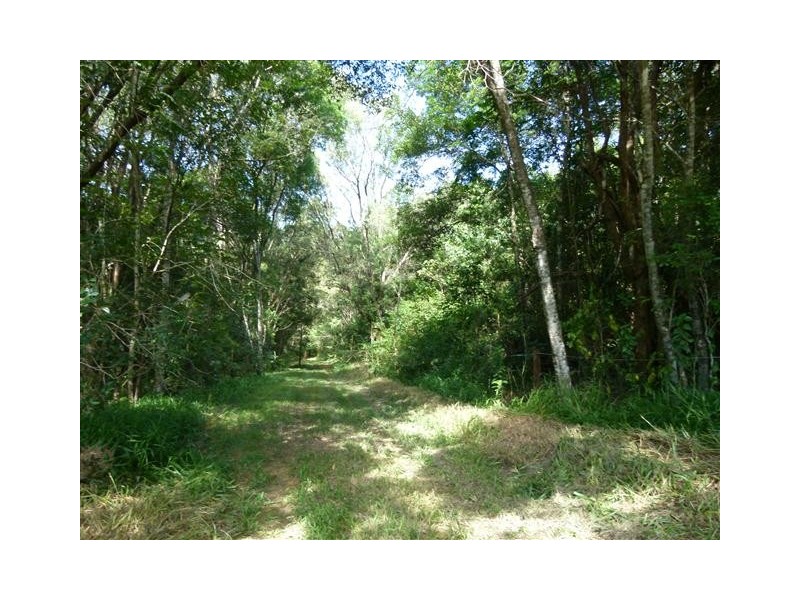 60  Stanfield Lane, Cooroy QLD 4563