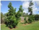 62 Pavilion Street, Pomona QLD 4568