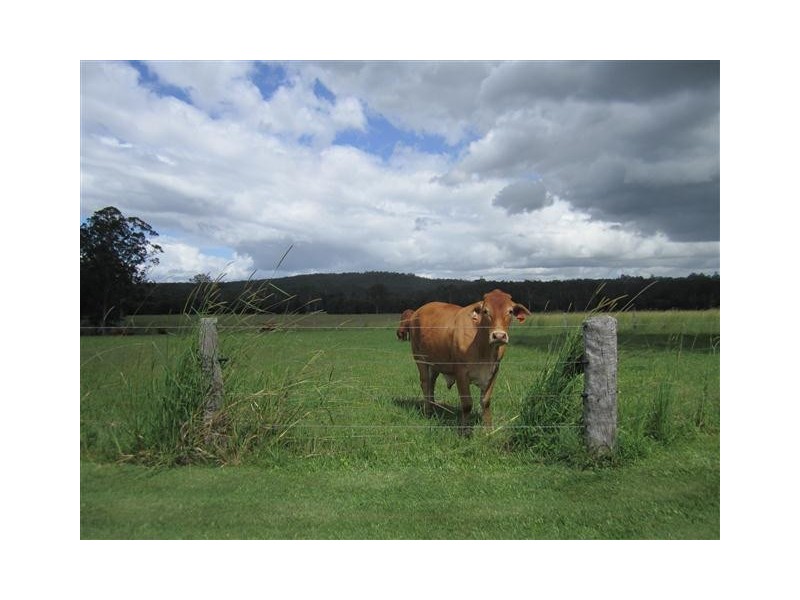 22 Princess Street, Cooran QLD 4569