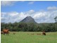48 Princess Street, Cooran QLD 4569