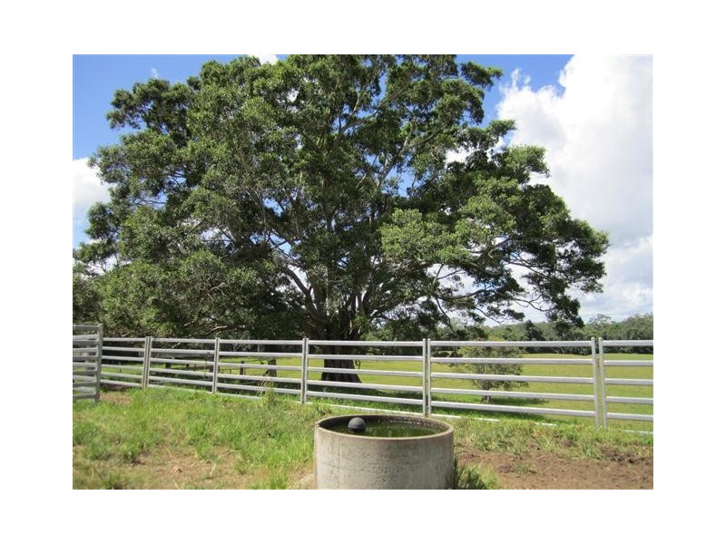 48 Princess Street, Cooran QLD 4569