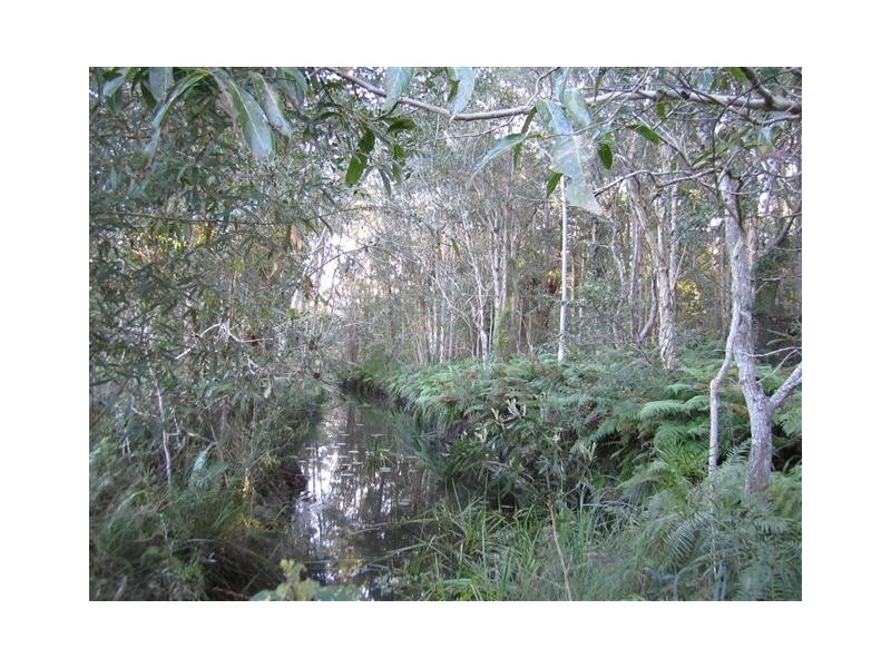 1569 Louis Bazzo Drive, Cootharaba QLD 4565