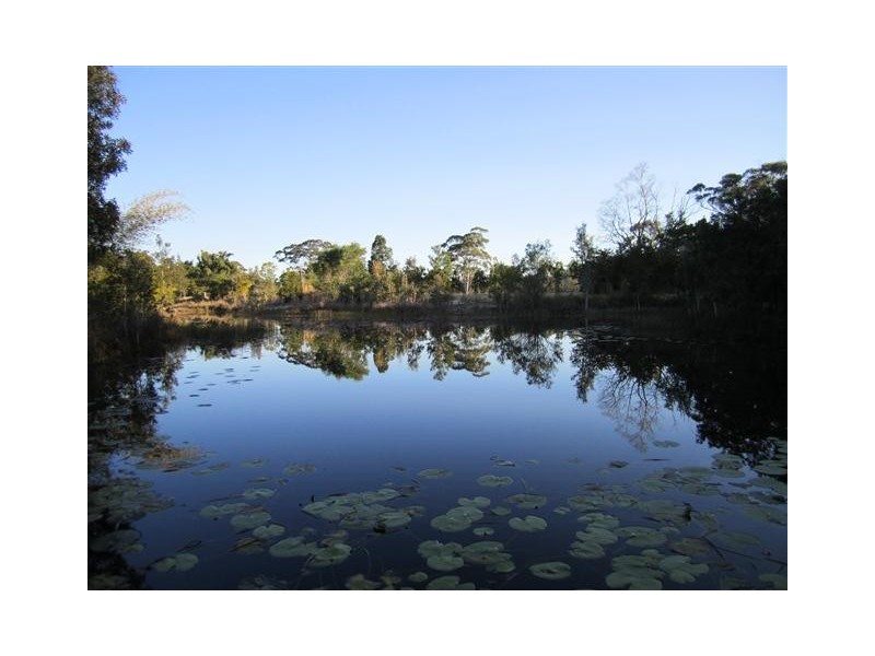 1569 Louis Bazzo Drive, Cootharaba QLD 4565