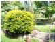 4 Jacaranda Place, Tewantin QLD 4565