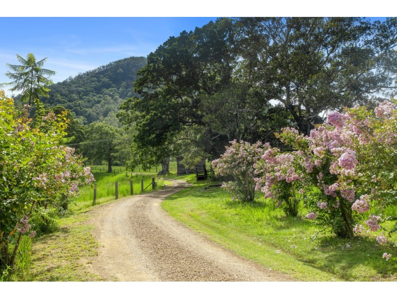 954 Browns Creek Road, Eerwah Vale QLD 4562